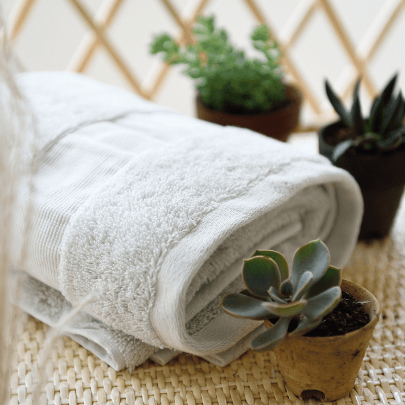 Organic Cotton Towels