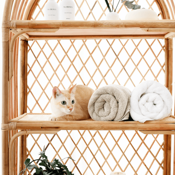 Organic Cotton Towels